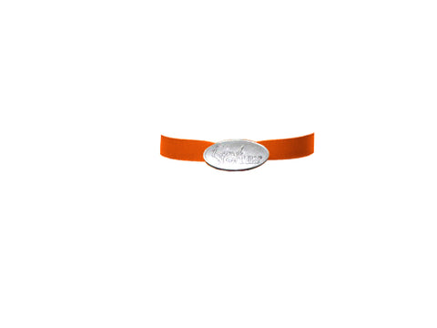 Customize Ribbon