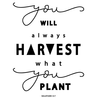 Special Print: You Will Harvest What You Plant